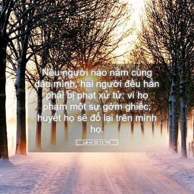 Picture 05 - Lê-vi 20:12 VIE - Nếu người nào nằm cùng dâu mình, hai - Bible Verse Picture