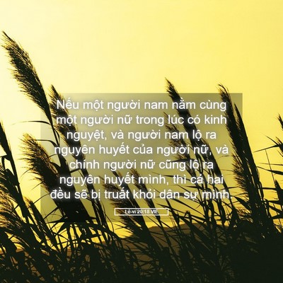 Picture 05 - Lê-vi 20:18 VIE - Nếu một người nam nằm cùng một - Bible Verse Picture