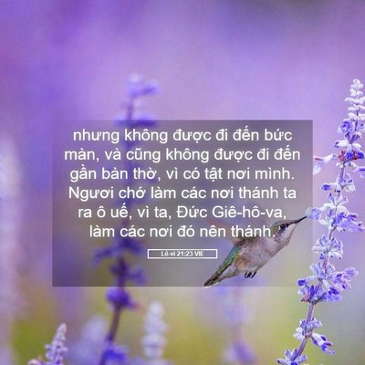 Picture 05 - Lê-vi 21:23 VIE - nhưng không được đi đến bức màn, và - Bible Verse Picture