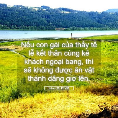 Picture 05 - Lê-vi 22:12 VIE - Nếu con gái của thầy tế lễ kết thân - Bible Verse Picture