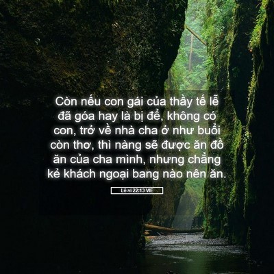 Picture 05 - Lê-vi 22:13 VIE - Còn nếu con gái của thầy tế lễ đã - Bible Verse Picture