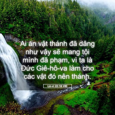 Picture 05 - Lê-vi 22:16 VIE - Ai ăn vật thánh đã dâng như vậy sẽ - Bible Verse Picture