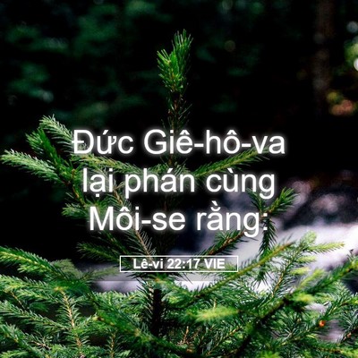 Picture 05 - Lê-vi 22:17 VIE - Đức Giê-hô-va lại phán cùng Môi-se - Bible Verse Picture