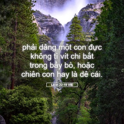 Picture 05 - Lê-vi 22:19 VIE - phải dâng một con đực không tì vít chi - Bible Verse Picture