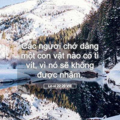 Picture 05 - Lê-vi 22:20 VIE - Các ngươi chớ dâng một con vật nào có - Bible Verse Picture