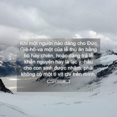 Picture 05 - Lê-vi 22:21 VIE - Khi một người nào dâng cho Đức - Bible Verse Picture