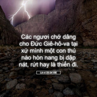 Picture 05 - Lê-vi 22:24 VIE - Các ngươi chớ dâng cho Đức Giê-hô-va - Bible Verse Picture