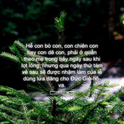 Picture 05 - Lê-vi 22:27 VIE - Hễ con bò con, con chiên con hay con dê con, - Bible Verse Picture