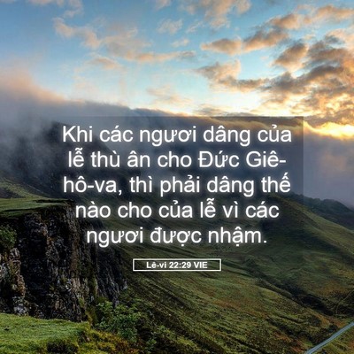 Picture 05 - Lê-vi 22:29 VIE - Khi các ngươi dâng của lễ thù ân cho - Bible Verse Picture