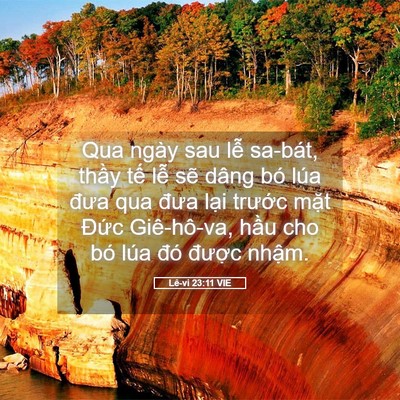 Picture 05 - Lê-vi 23:11 VIE - Qua ngày sau lễ sa-bát, thầy tế lễ sẽ - Bible Verse Picture