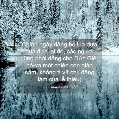 Picture 05 - Lê-vi 23:12 VIE - Chính ngày dâng bó lúa đưa qua đưa lại - Bible Verse Picture