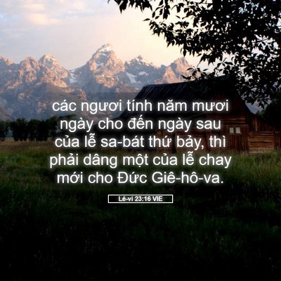 Picture 05 - Lê-vi 23:16 VIE - các ngươi tính năm mươi ngày cho đến - Bible Verse Picture