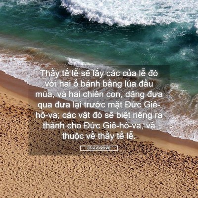 Picture 05 - Lê-vi 23:20 VIE - Thầy tế lễ sẽ lấy các của lễ đó - Bible Verse Picture