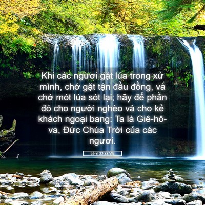 Picture 05 - Lê-vi 23:22 VIE - Khi các ngươi gặt lúa trong xứ mình, - Bible Verse Picture