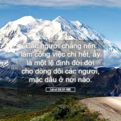 Picture 05 - Lê-vi 23:31 VIE - Các ngươi chẳng nên làm công việc chi - Bible Verse Picture