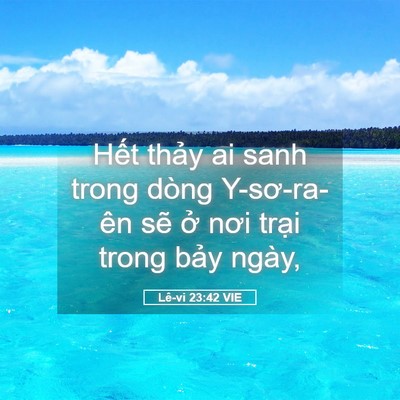 Picture 05 - Lê-vi 23:42 VIE - Hết thảy ai sanh trong dòng Y-sơ-ra-ên - Bible Verse Picture