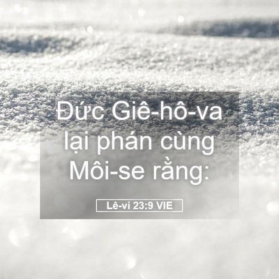 Picture 05 - Lê-vi 23:9 VIE - Đức Giê-hô-va lại phán cùng Môi-se - Bible Verse Picture