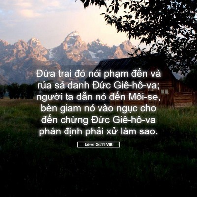 Picture 05 - Lê-vi 24:11 VIE - Đứa trai đó nói phạm đến và rủa - Bible Verse Picture