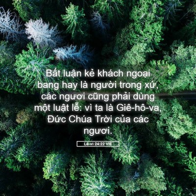 Picture 05 - Lê-vi 24:22 VIE - Bất luận kẻ khách ngoại bang hay là - Bible Verse Picture