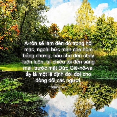 Picture 05 - Lê-vi 24:3 VIE - A-rôn sẽ làm đèn đó trong hội mạc, - Bible Verse Picture