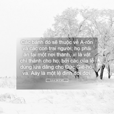 Picture 05 - Lê-vi 24:9 VIE - Các bánh đó sẽ thuộc về A-rôn và các - Bible Verse Picture