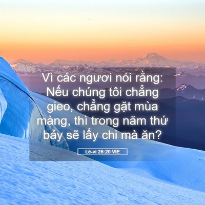 Picture 05 - Lê-vi 25:20 VIE - Vì các ngươi nói rằng: Nếu chúng tôi - Bible Verse Picture