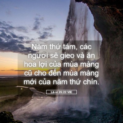 Picture 05 - Lê-vi 25:22 VIE - Năm thứ tám, các ngươi sẽ gieo và ăn - Bible Verse Picture