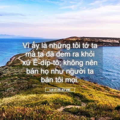 Picture 05 - Lê-vi 25:42 VIE - Vì ấy là những tôi tớ ta mà ta đã - Bible Verse Picture