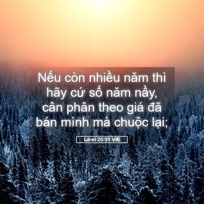 Picture 05 - Lê-vi 25:51 VIE - Nếu còn nhiều năm thì hãy cứ số năm - Bible Verse Picture