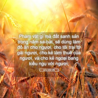 Picture 05 - Lê-vi 25:6 VIE - Phàm vật gì mà đất sanh sản trong năm - Bible Verse Picture