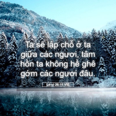 Picture 05 - Lê-vi 26:11 VIE - Ta sẽ lập chỗ ở ta giữa các ngươi, - Bible Verse Picture