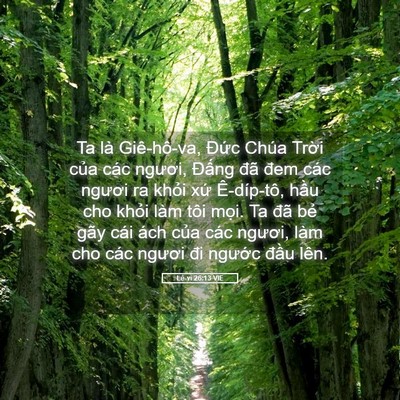 Picture 05 - Lê-vi 26:13 VIE - Ta là Giê-hô-va, Đức Chúa Trời của - Bible Verse Picture