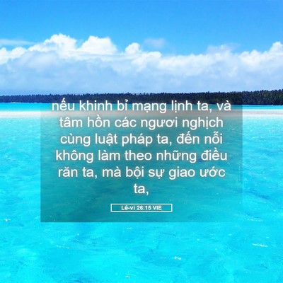 Picture 05 - Lê-vi 26:15 VIE - nếu khinh bỉ mạng lịnh ta, và tâm hồn - Bible Verse Picture