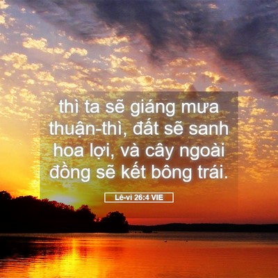 Picture 05 - Lê-vi 26:4 VIE - thì ta sẽ giáng mưa thuận-thì, đất - Bible Verse Picture