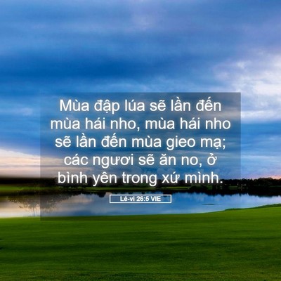 Picture 05 - Lê-vi 26:5 VIE - Mùa đập lúa sẽ lần đến mùa hái nho, - Bible Verse Picture