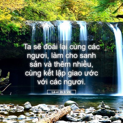Picture 05 - Lê-vi 26:9 VIE - Ta sẽ đoái lại cùng các ngươi, làm cho - Bible Verse Picture