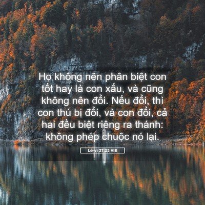 Picture 05 - Lê-vi 27:33 VIE - Họ không nên phân biệt con tốt hay là - Bible Verse Picture