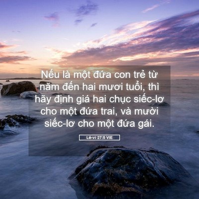 Picture 05 - Lê-vi 27:5 VIE - Nếu là một đứa con trẻ từ năm đến - Bible Verse Picture