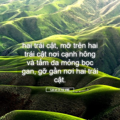 Picture 05 - Lê-vi 3:15 VIE - hai trái cật, mỡ trên hai trái cật nơi - Bible Verse Picture