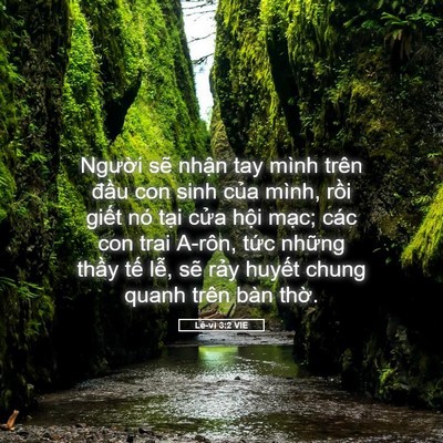 Picture 05 - Lê-vi 3:2 VIE - Người sẽ nhận tay mình trên đầu con - Bible Verse Picture