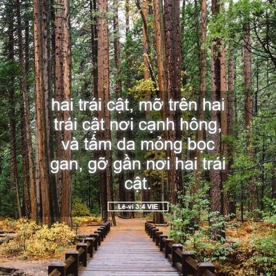 Picture 05 - Lê-vi 3:4 VIE - hai trái cật, mỡ trên hai trái cật nơi - Bible Verse Picture