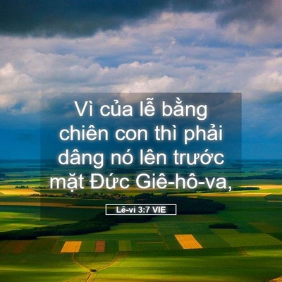 Picture 05 - Lê-vi 3:7 VIE - Vì của lễ bằng chiên con thì phải - Bible Verse Picture