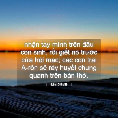 Picture 05 - Lê-vi 3:8 VIE - nhận tay mình trên đầu con sinh, rồi - Bible Verse Picture