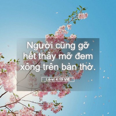 Picture 05 - Lê-vi 4:19 VIE - Người cũng gỡ hết thảy mỡ đem xông - Bible Verse Picture