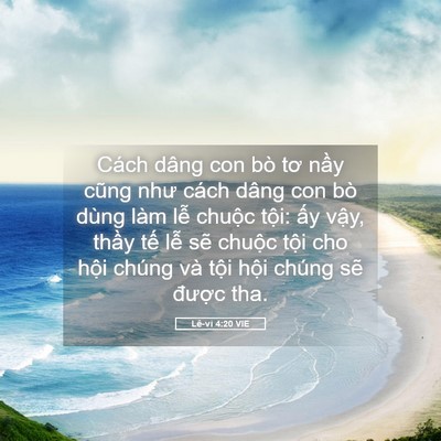 Picture 05 - Lê-vi 4:20 VIE - Cách dâng con bò tơ nầy cũng như cách - Bible Verse Picture
