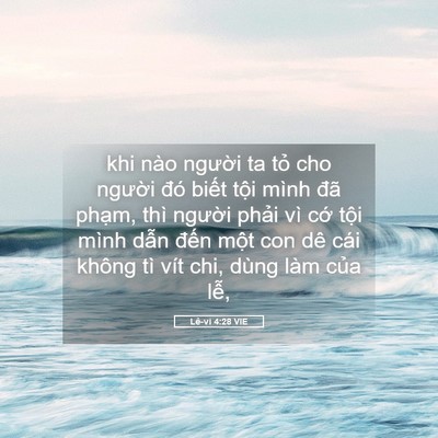 Picture 05 - Lê-vi 4:28 VIE - khi nào người ta tỏ cho người đó - Bible Verse Picture