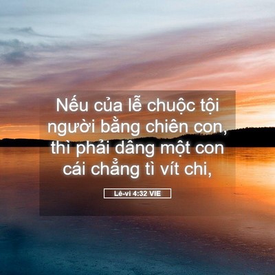 Picture 05 - Lê-vi 4:32 VIE - Nếu của lễ chuộc tội người bằng - Bible Verse Picture