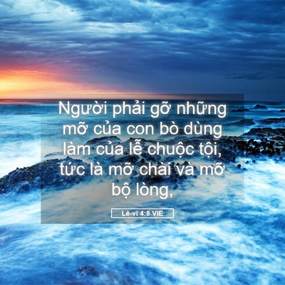 Picture 05 - Lê-vi 4:8 VIE - Người phải gỡ những mỡ của con bò - Bible Verse Picture