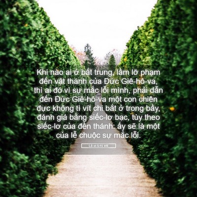 Picture 05 - Lê-vi 5:15 VIE - Khi nào ai ở bất trung, lầm lỡ phạm - Bible Verse Picture