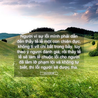 Picture 05 - Lê-vi 5:18 VIE - Người vì sự lỗi mình phải dẫn đến - Bible Verse Picture